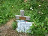 image of grave number 128730